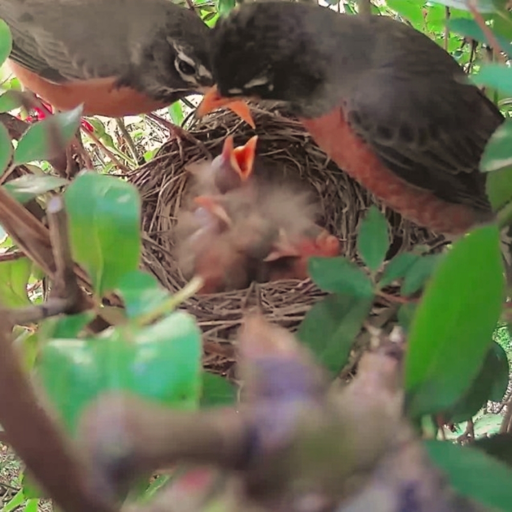 Meet your Posher, Deborah